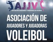 Asociación de Jugadores y Jugadoras de Voleibol